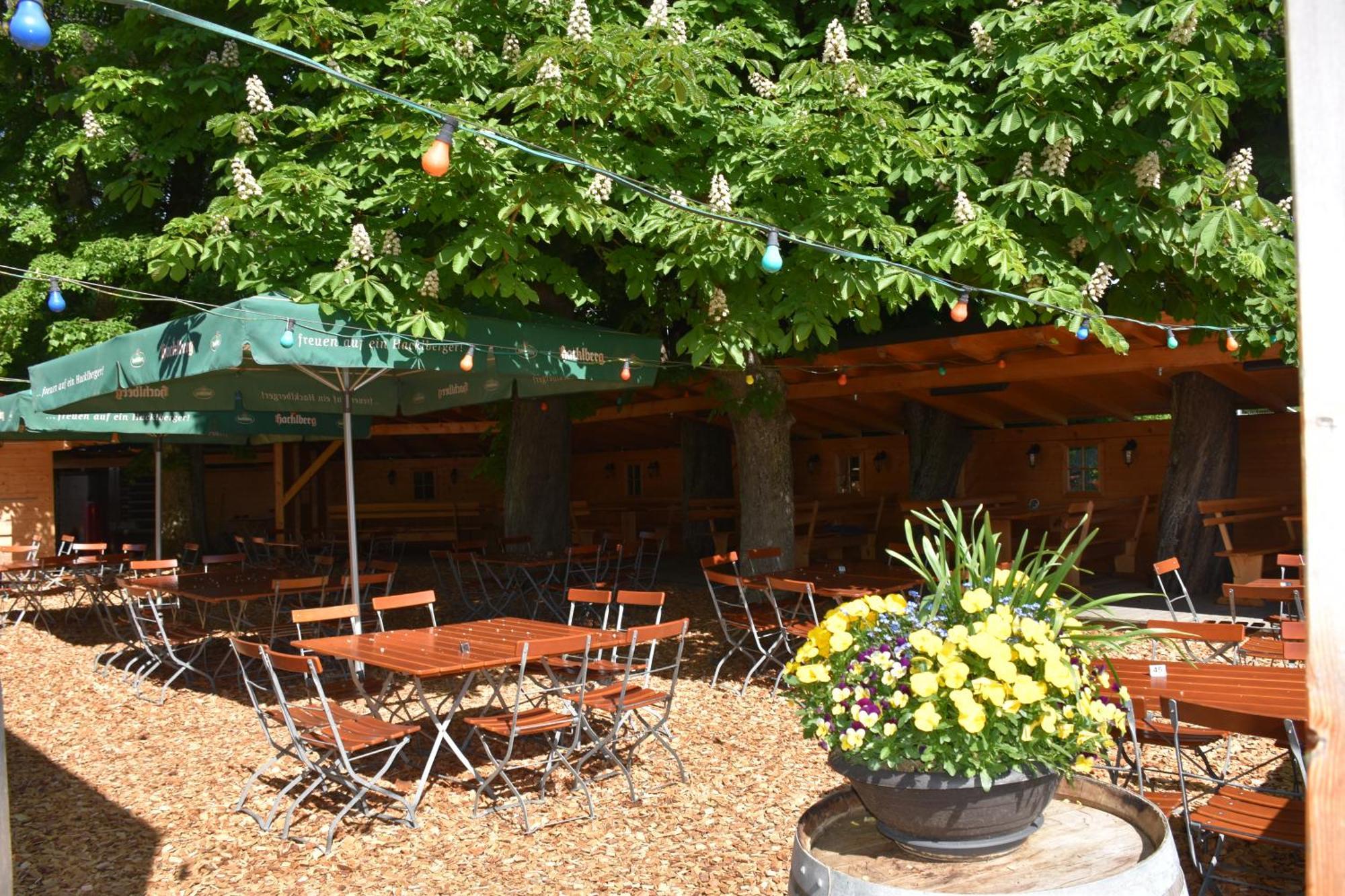 Gasthaus Und Pension Halli-Galli Passau Luaran gambar